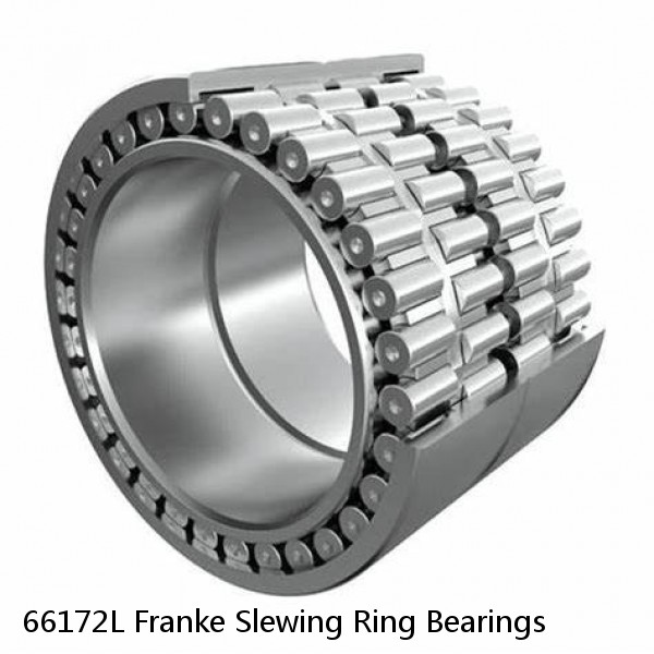 66172L Franke Slewing Ring Bearings