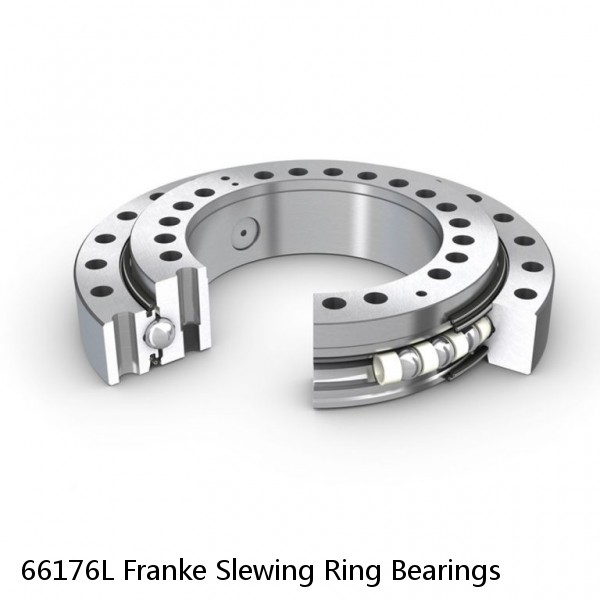 66176L Franke Slewing Ring Bearings