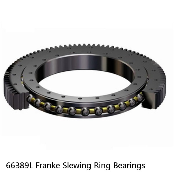 66389L Franke Slewing Ring Bearings