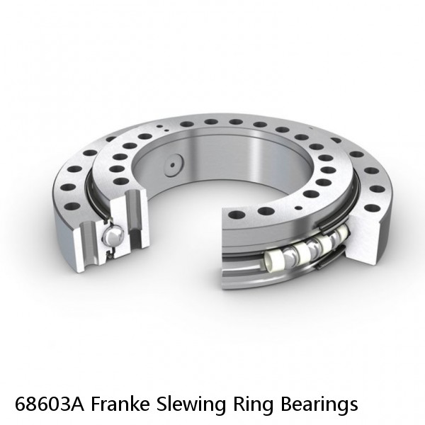 68603A Franke Slewing Ring Bearings