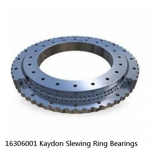 16306001 Kaydon Slewing Ring Bearings