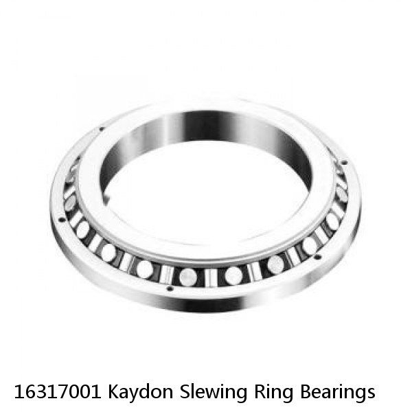 16317001 Kaydon Slewing Ring Bearings