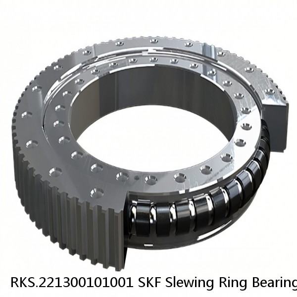 RKS.221300101001 SKF Slewing Ring Bearings