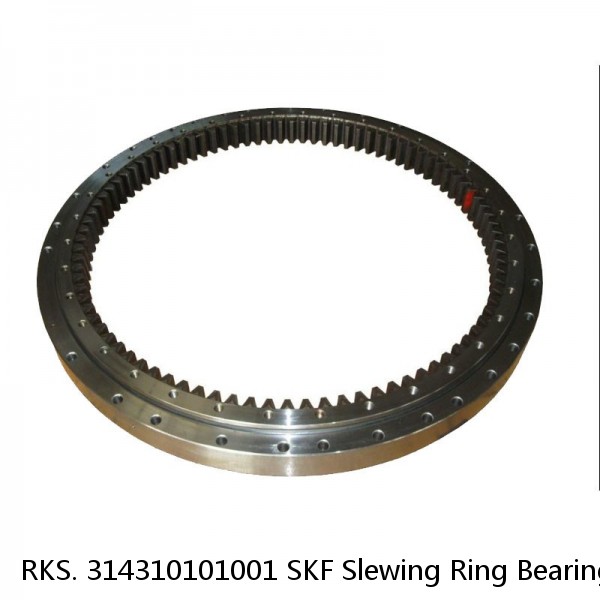 RKS. 314310101001 SKF Slewing Ring Bearings