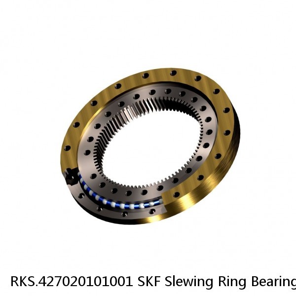 RKS.427020101001 SKF Slewing Ring Bearings