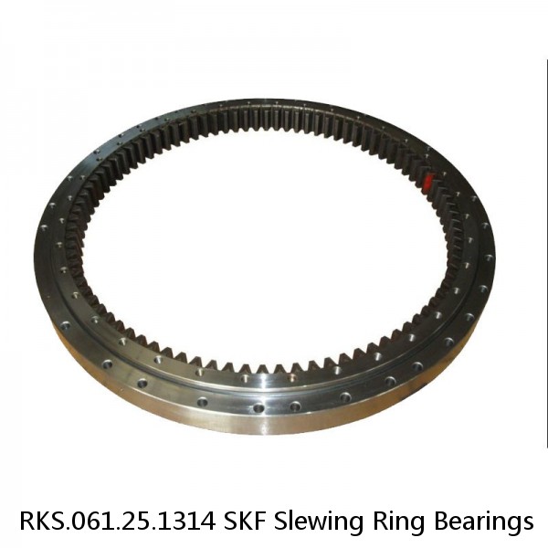 RKS.061.25.1314 SKF Slewing Ring Bearings