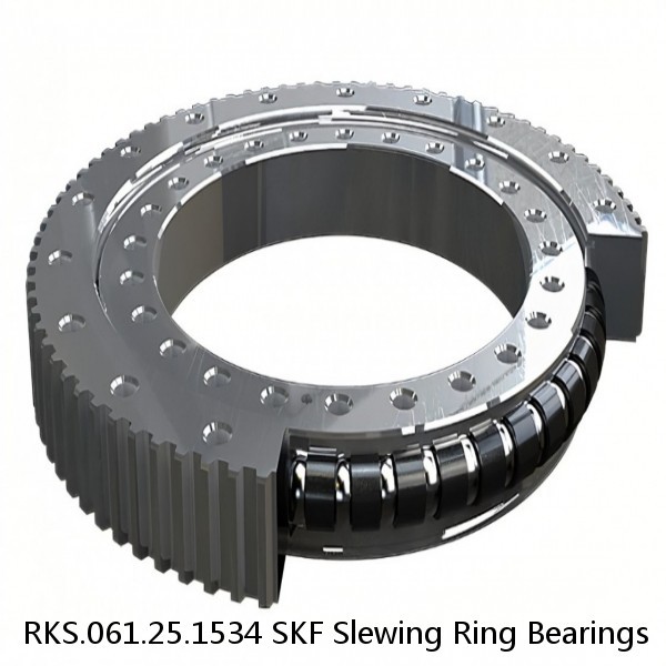 RKS.061.25.1534 SKF Slewing Ring Bearings