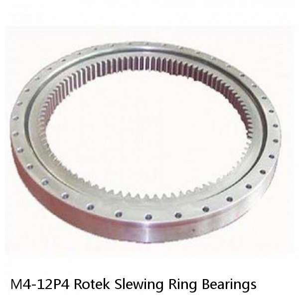 M4-12P4 Rotek Slewing Ring Bearings