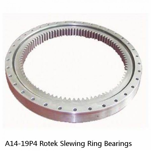 A14-19P4 Rotek Slewing Ring Bearings