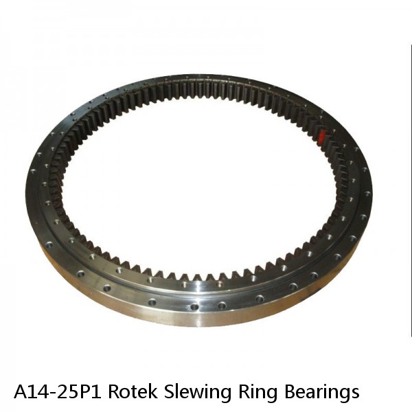 A14-25P1 Rotek Slewing Ring Bearings