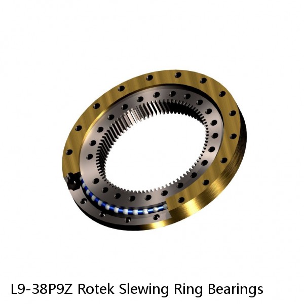 L9-38P9Z Rotek Slewing Ring Bearings