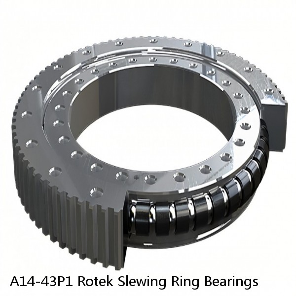 A14-43P1 Rotek Slewing Ring Bearings