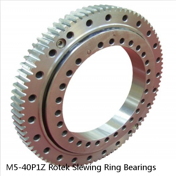 M5-40P1Z Rotek Slewing Ring Bearings