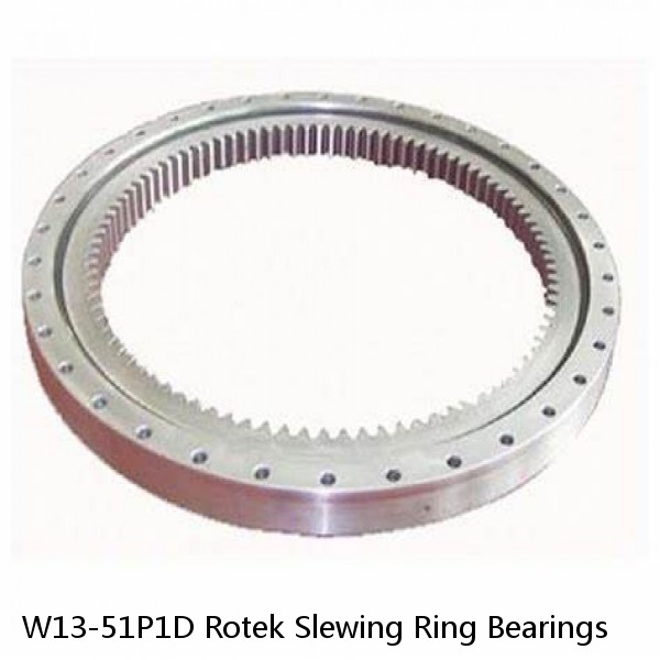 W13-51P1D Rotek Slewing Ring Bearings