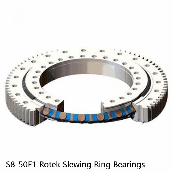 S8-50E1 Rotek Slewing Ring Bearings