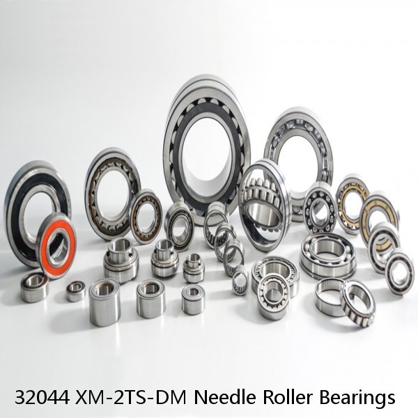 32044 XM-2TS-DM Needle Roller Bearings