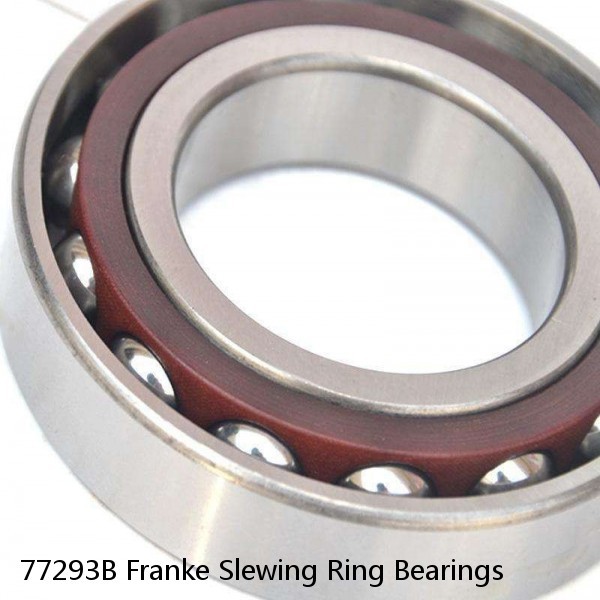 77293B Franke Slewing Ring Bearings