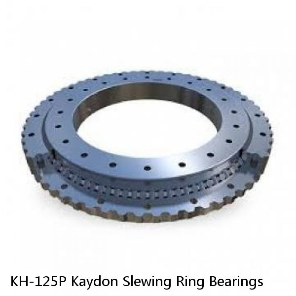 KH-125P Kaydon Slewing Ring Bearings