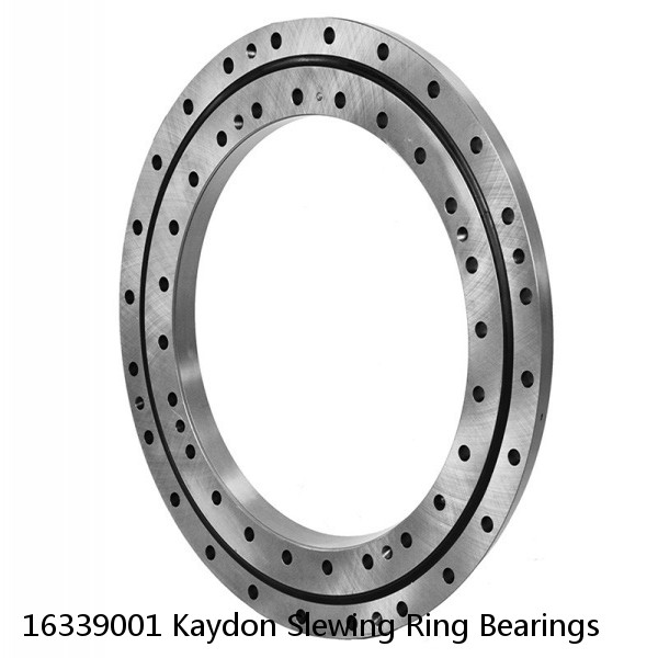 16339001 Kaydon Slewing Ring Bearings