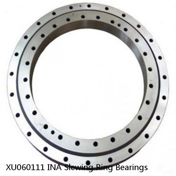 XU060111 INA Slewing Ring Bearings