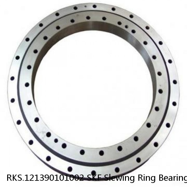 RKS.121390101002 SKF Slewing Ring Bearings