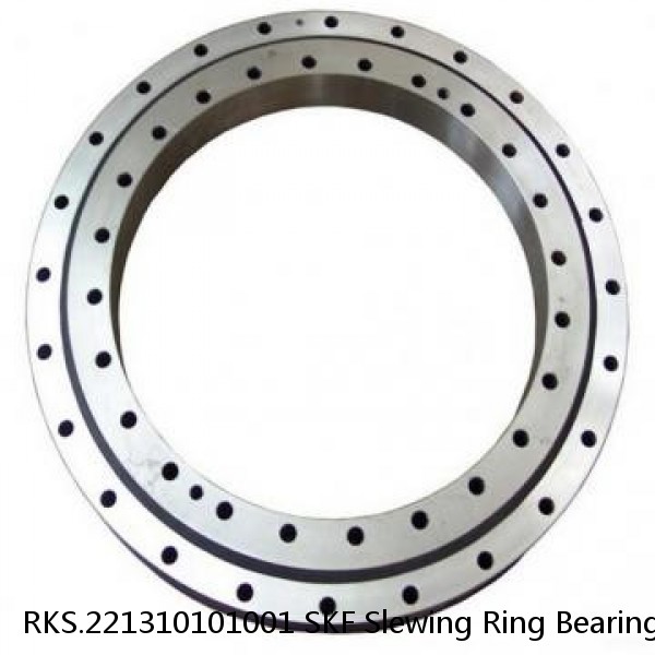 RKS.221310101001 SKF Slewing Ring Bearings