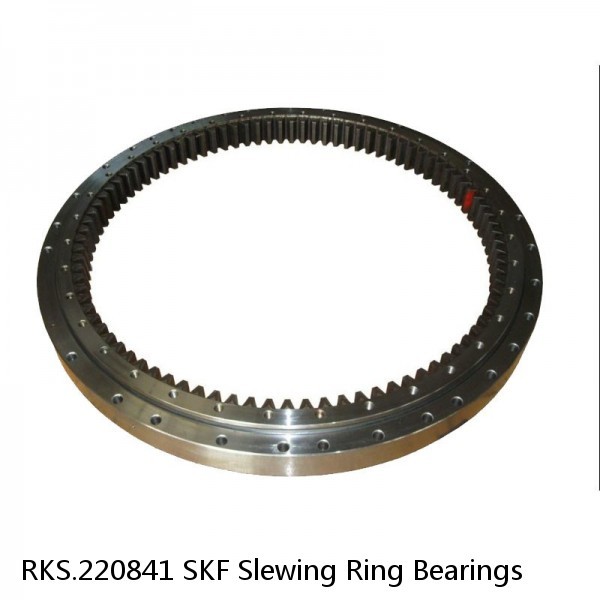 RKS.220841 SKF Slewing Ring Bearings