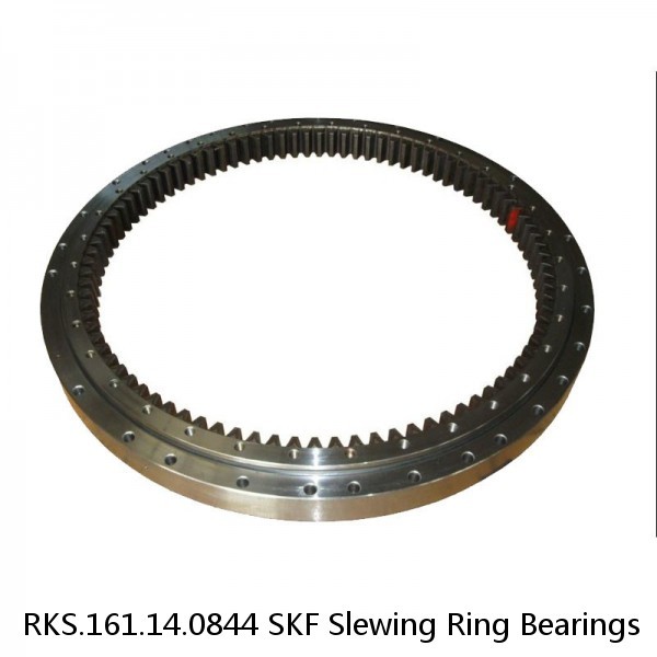 RKS.161.14.0844 SKF Slewing Ring Bearings