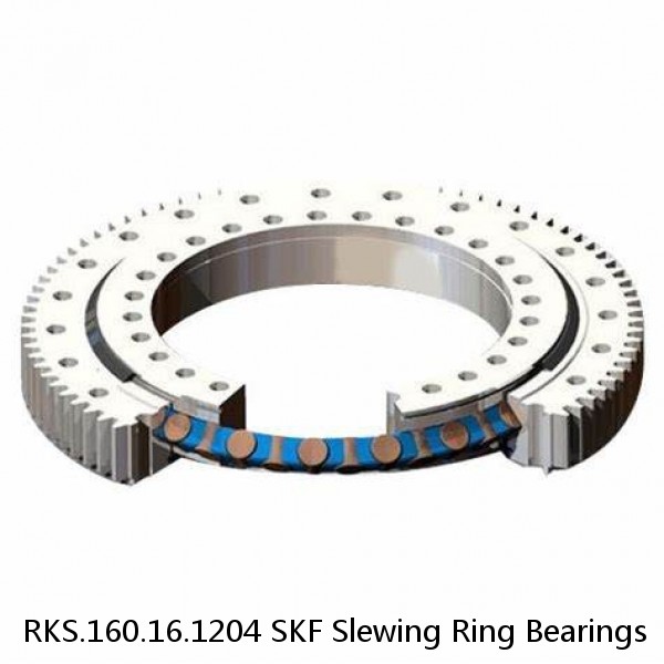 RKS.160.16.1204 SKF Slewing Ring Bearings