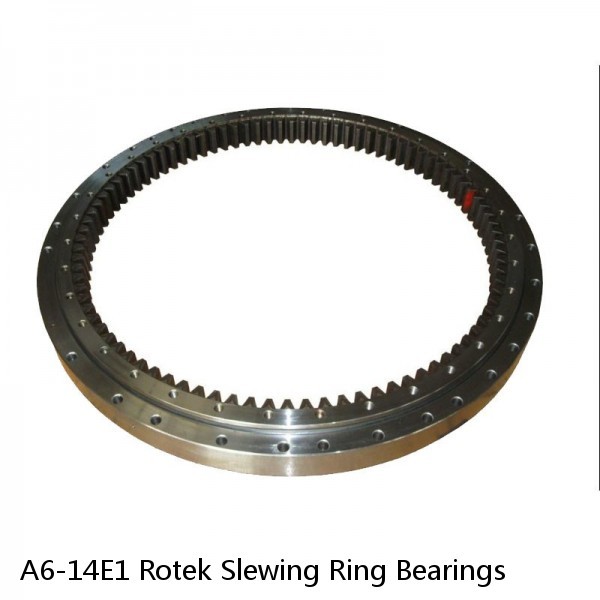 A6-14E1 Rotek Slewing Ring Bearings