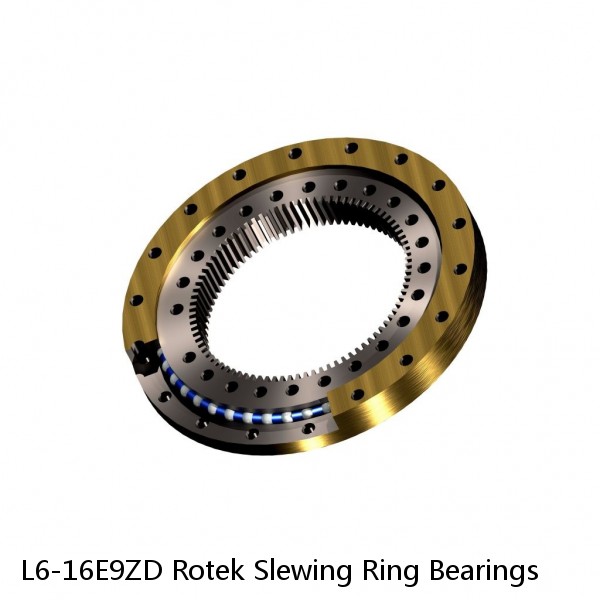 L6-16E9ZD Rotek Slewing Ring Bearings