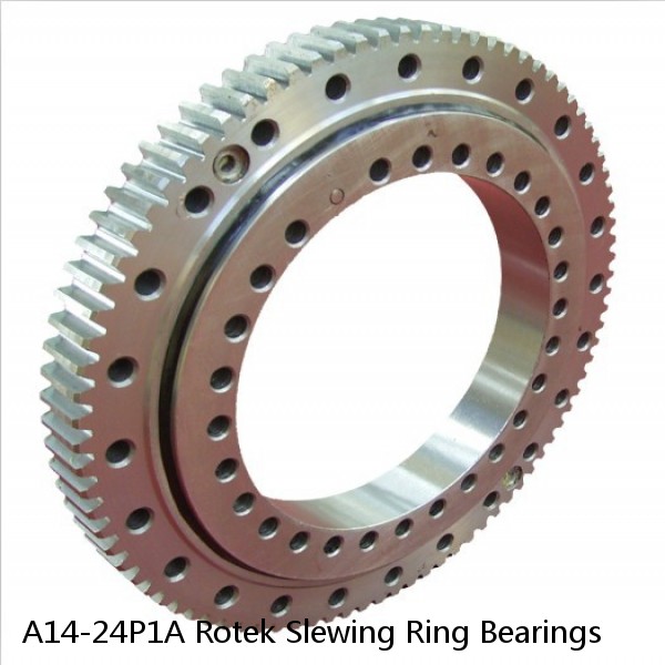 A14-24P1A Rotek Slewing Ring Bearings