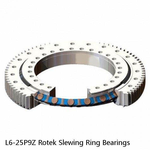 L6-25P9Z Rotek Slewing Ring Bearings